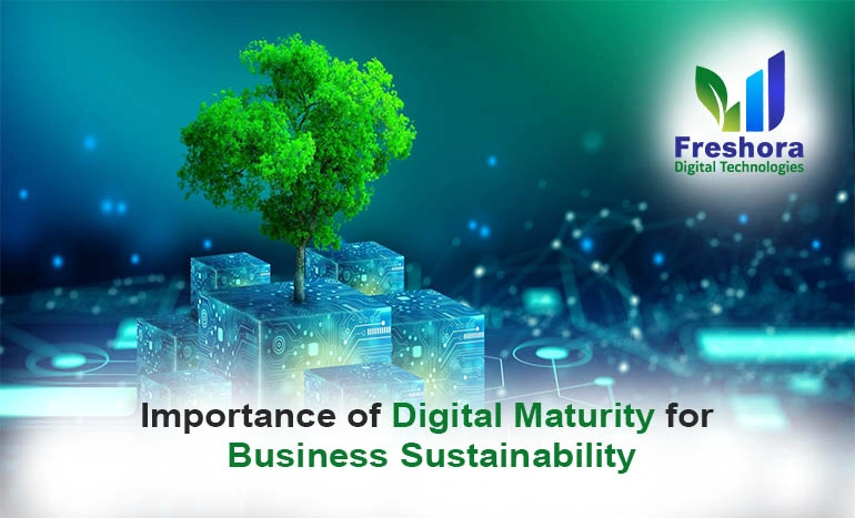 Digital Maturity