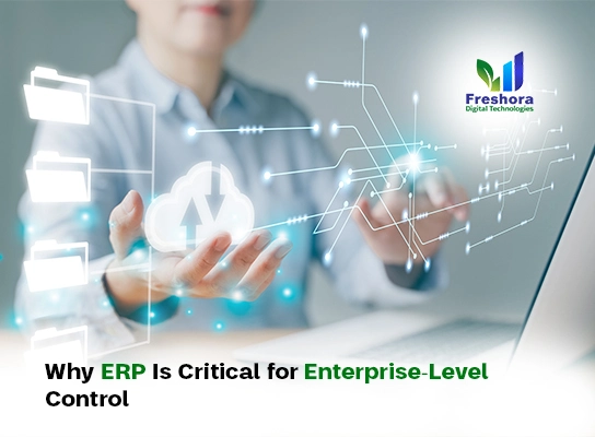 Why ERP Is Critical for Enterprise-Level Control