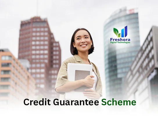 Credit Guarantee Scheme