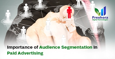 Audience Segmentation in Paid Advertising