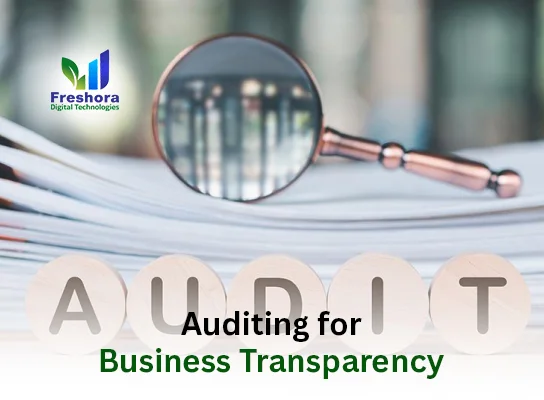 Auditing Business Transparency