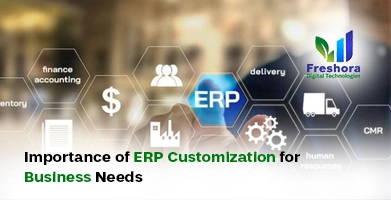 Importance of ERP Customization