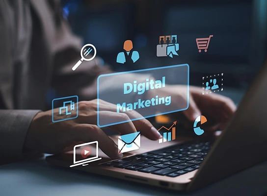 Why Businesses Still Need Digital Marketing Support